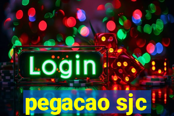 pegacao sjc